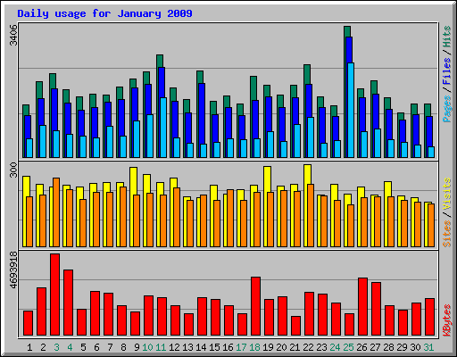 Daily usage for January 2009