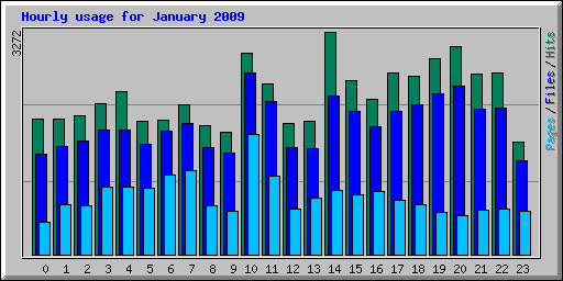 Hourly usage for January 2009
